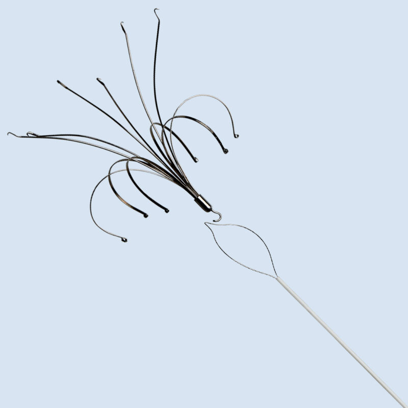 Ангиология